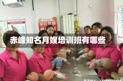 赤峰知名月嫂培训班有哪些