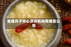 赤峰月子中心测评机构有哪些公司