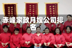 赤峰家政月嫂公司排名