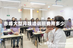 赤峰大型月嫂培训班费用多少