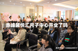 赤峰馨悦汇月子中心开业了吗