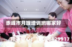 赤峰市月嫂培训班哪家好