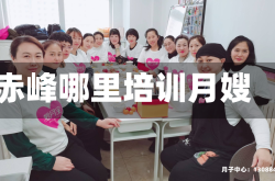 赤峰哪里培训月嫂