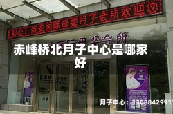 赤峰桥北月子中心是哪家好