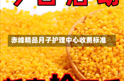 赤峰精品月子护理中心收费标准