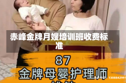 赤峰金牌月嫂培训班收费标准