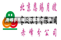 赤峰市月嫂公司哪家好一点