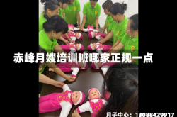 赤峰月嫂培训班哪家正规一点