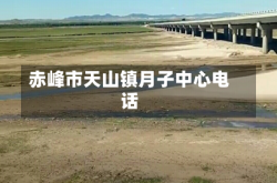 赤峰市天山镇月子中心电话