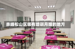 赤峰松山区哪有培训月嫂的地方