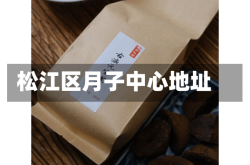 松江区月子中心地址