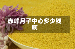 赤峰月子中心多少钱啊