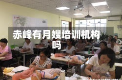 赤峰有月嫂培训机构吗