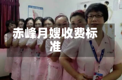 赤峰月嫂收费标准