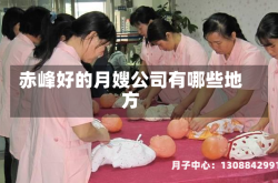 赤峰好的月嫂公司有哪些地方