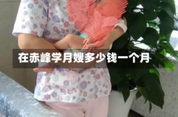 在赤峰学月嫂多少钱一个月