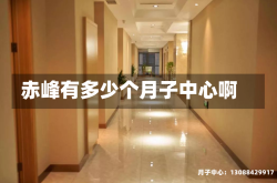 赤峰有多少个月子中心啊