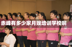 赤峰有多少家月嫂培训学校啊