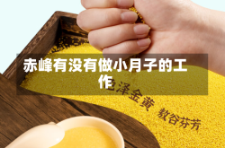 赤峰有没有做小月子的工作