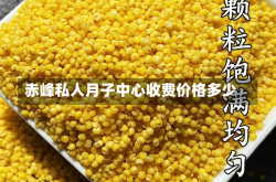 赤峰私人月子中心收费价格多少