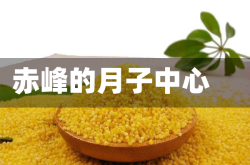 赤峰的月子中心
