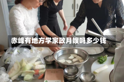 赤峰有地方学家政月嫂吗多少钱