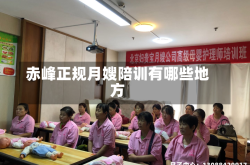 赤峰正规月嫂陪训有哪些地方