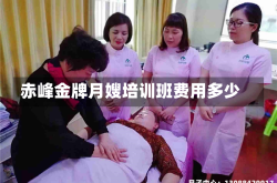 赤峰金牌月嫂培训班费用多少