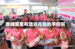赤峰哪里有培训月嫂的学校啊