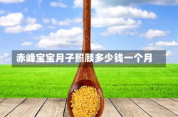赤峰宝宝月子照顾多少钱一个月