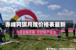 赤峰阿旗月嫂价格表最新
