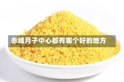 赤峰月子中心都有哪个好的地方