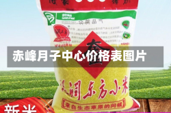 赤峰月子中心价格表图片