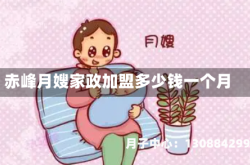 赤峰月嫂家政加盟多少钱一个月