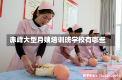 赤峰大型月嫂培训班学校有哪些