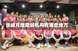 赤峰月嫂陪训机构有哪些地方