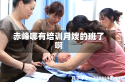 赤峰哪有培训月嫂的班了啊