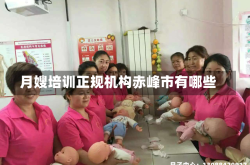 月嫂培训正规机构赤峰市有哪些