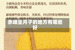 赤峰坐月子的地方有哪些好
