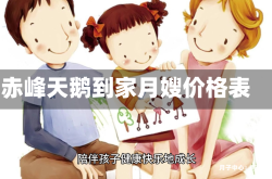 赤峰天鹅到家月嫂价格表