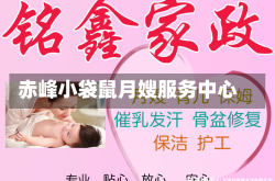 赤峰小袋鼠月嫂服务中心