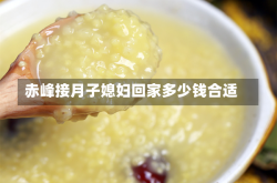 赤峰接月子媳妇回家多少钱合适