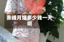 赤峰月嫂多少钱一天啊