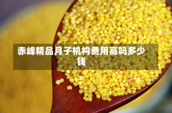 赤峰精品月子机构费用高吗多少钱