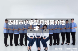 赤峰市小袋鼠月嫂简介地址