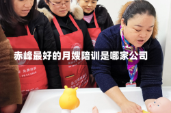 赤峰最好的月嫂陪训是哪家公司