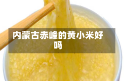 内蒙古赤峰的黄小米好吗