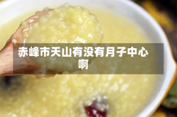 赤峰市天山有没有月子中心啊