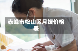 赤峰市松山区月嫂价格表