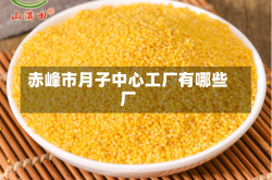 赤峰市月子中心工厂有哪些厂